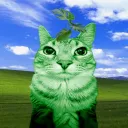 simplyaperson avatar