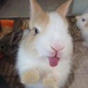 avatar ⃟⃟⃟⃟⃟⃟⃟⃟⃟⃟