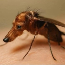 avatar ⃟⃟⃟⃟⃟⃟⃟⃟⃟⃟