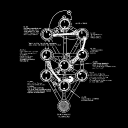 avatar Cybernetic Accelerationist