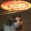 itschasa