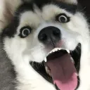 4levyx