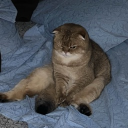 avatar 𓆝 𓆟 𓆞