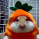 avatar 𓆝 𓆟 𓆞