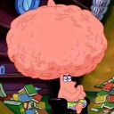 avatar 𓆝 𓆟 𓆞