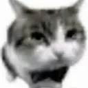 daveeok_