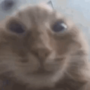 avatar ui ei ui a e ui a