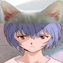 pahsi