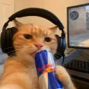 roblox.bri