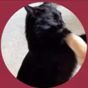 tttcircut