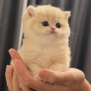 avatar ! 𝑀𝑎𝑟𝑖𝑦𝑎