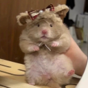 avatar !*𝑴𝒂𝒓𝒊