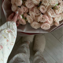 avatar !*𝑀𝑎𝑟𝑖·.