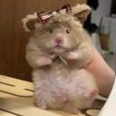 avatar !*𝑴𝒂𝒓𝒊