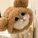 berry_wink