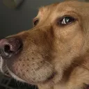 ilikeplayingfootball. avatar