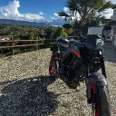 roooostersito
