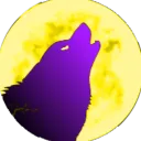 wolfe23