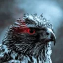 fly1ngfalcon