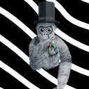 marshmellowgorillatag