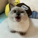 thekingblue17 avatar