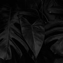 jan23_j