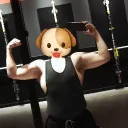 ggvelo