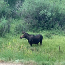 crossbow_mans#6401's avatar