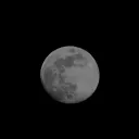 insanoinsanidi_30252 avatar