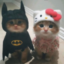 avatar 𑣲┆𝓁𝓊𝓁𝓊 ˚.⋆ֹ::