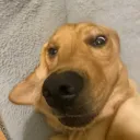 stumpboy_