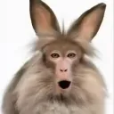 Аватар bober_penit