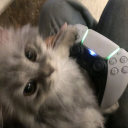 gamer-bf6eefb