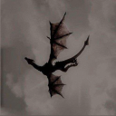 avatar 𝔽𝕣𝕠𝕤𝕔𝕙