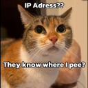 catyoutube_