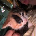 Discord Avatar