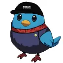 ciroviverosbargas avatar