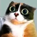 Аватар kakashka.default