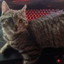 slotmode