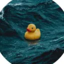 shayan_thegoat