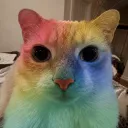 twichedplayer