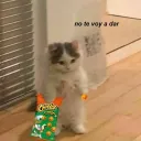 archig4_49520 avatar