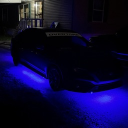 xx_lotus_xx's Avatar