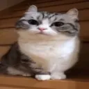 n0n4m3zzz