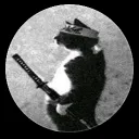 wessel003996_64840 avatar