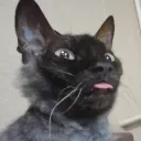 glorusgame