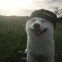 ftabhi