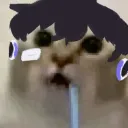 axoaxl