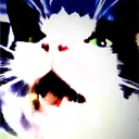 perish_null
