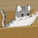 kit100